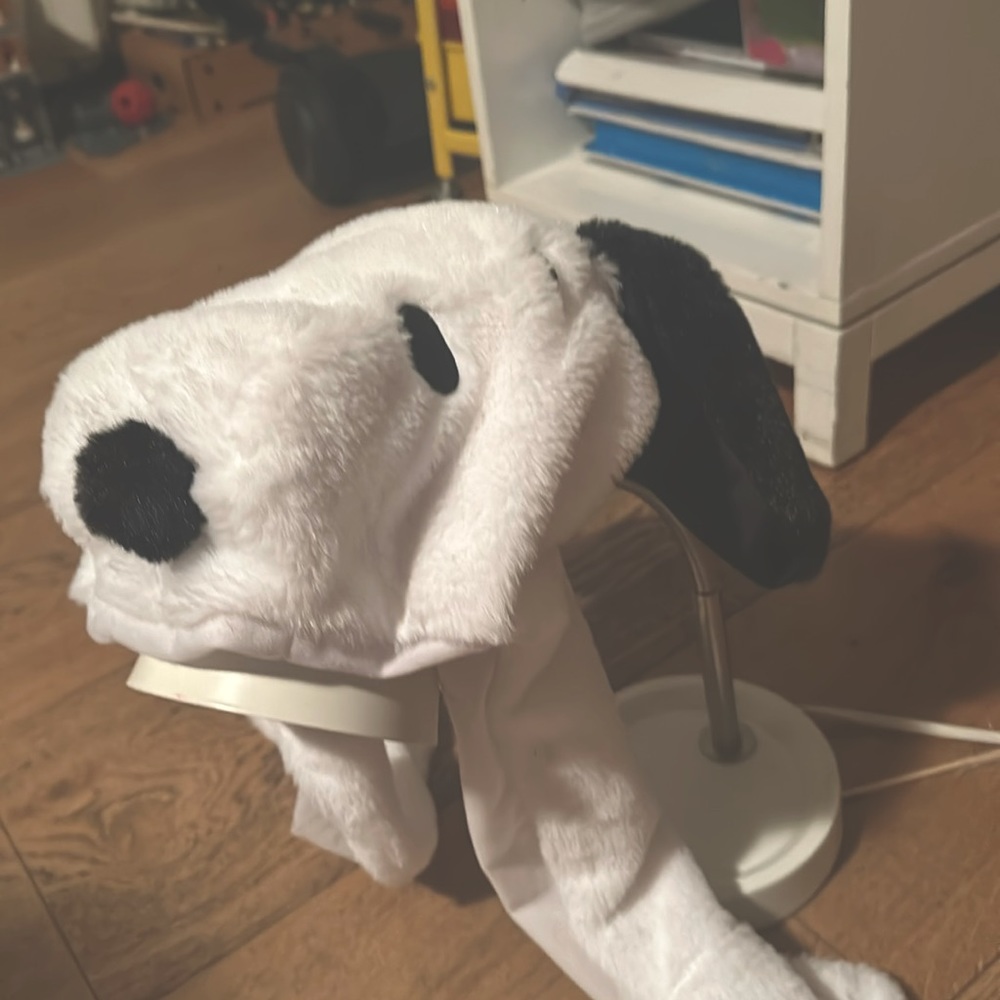 A cool Snoopy hat that you could only get at knott’s berry farm.